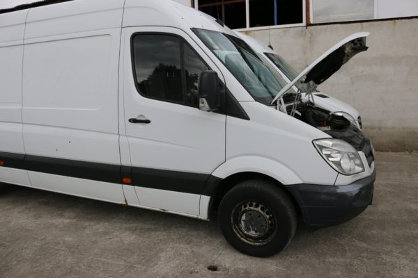 motor sprinter 313