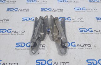 Balamale capotă 7H0823301D / 7H0823302D Volkswagen T5 Caravelle 2012 Euro 5